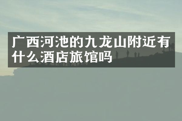 广西河池的九龙山附近有什么酒店旅馆吗