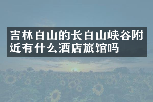 吉林白山的长白山峡谷附近有什么酒店旅馆吗