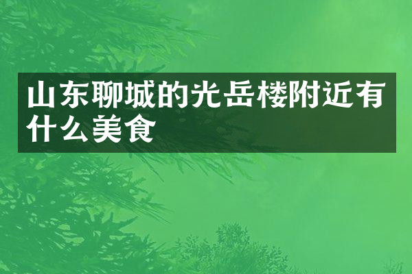 山东聊城的光岳楼附近有什么美食