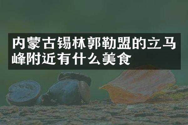 内蒙古锡林郭勒盟的立马峰附近有什么美食