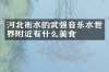 河北衡水的武强音乐水世界附近有什么美食