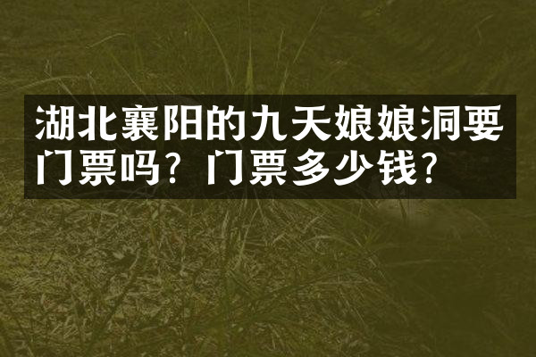 湖北襄阳的九天娘娘洞要门票吗？门票多少钱？