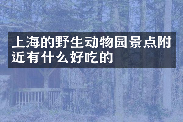 上海的野生动物园景点附近有什么好吃的