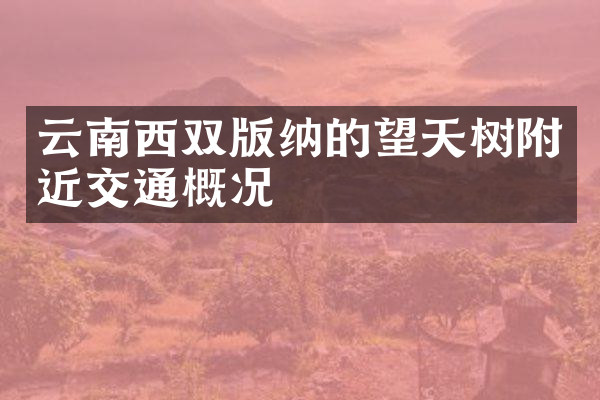 云南西双版纳的望天树附近交通概况