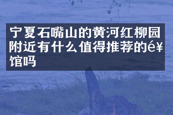 宁夏石嘴山的黄河红柳园附近有什么值得推荐的饭馆吗