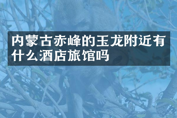 内蒙古赤峰的玉龙附近有什么酒店旅馆吗