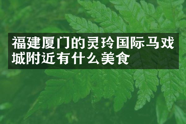 福建厦门的灵玲国际马戏城附近有什么美食