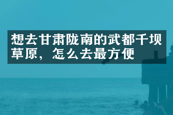 想去甘肃陇南的武都千坝草原，怎么去最方便
