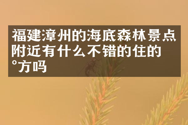 福建漳州的海底森林景点附近有什么不错的住的地方吗
