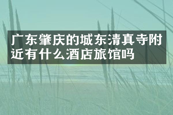 广东肇庆的城东清真寺附近有什么酒店旅馆吗