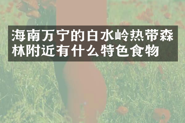海南万宁的白水岭热带森林附近有什么特色食物吗