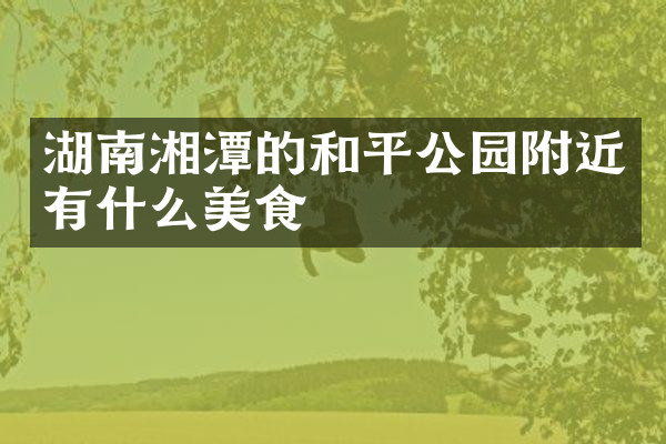 湖南湘潭的和平公园附近有什么美食