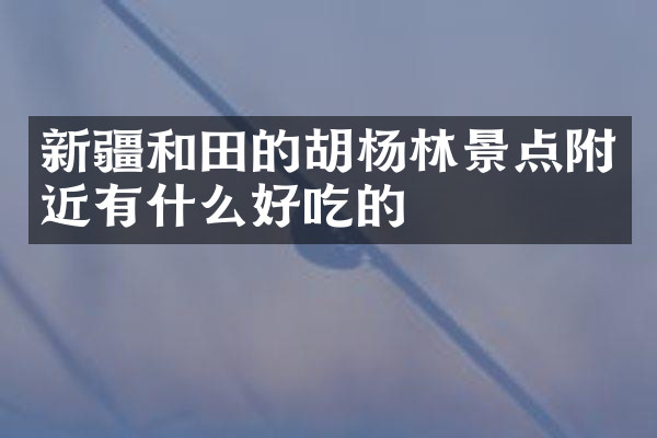 新疆和田的胡杨林景点附近有什么好吃的