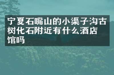 宁夏石嘴山的小渠子沟古树化石附近有什么酒店旅馆吗