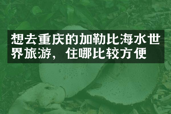 想去重庆的加勒比海水世界旅游，住哪比较方便