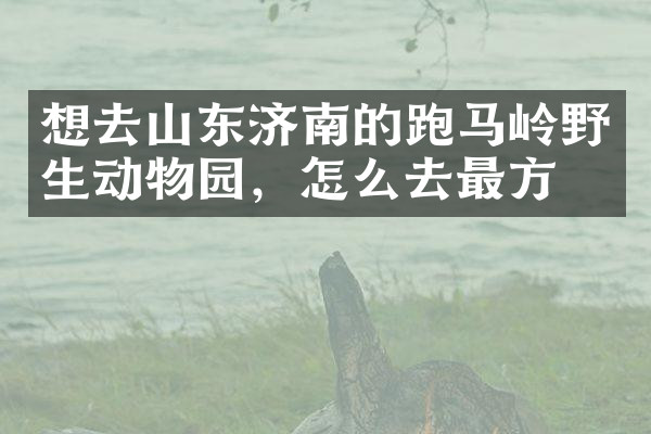 想去山东济南的跑马岭野生动物园，怎么去最方便
