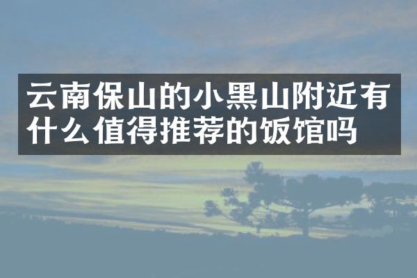 云南保山的小黑山附近有什么值得推荐的饭馆吗