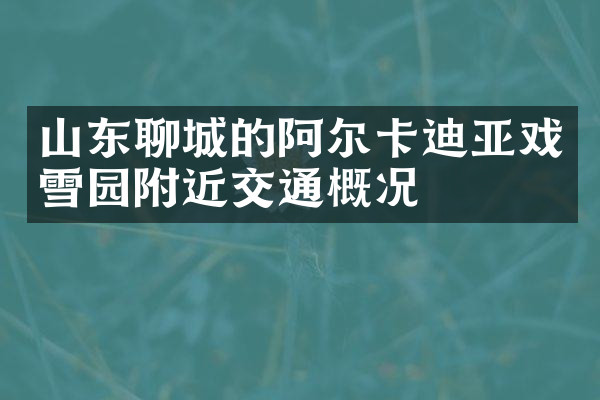 山东聊城的阿尔卡迪亚戏雪园附近交通概况
