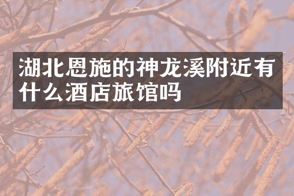 湖北恩施的神龙溪附近有什么酒店旅馆吗