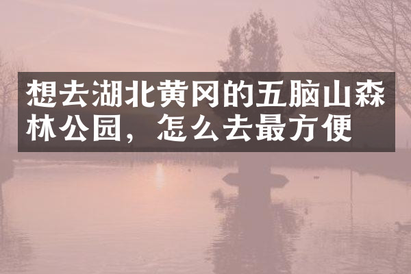 想去湖北黄冈的五脑山森林公园，怎么去最方便
