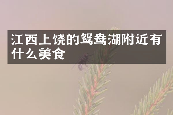 江西上饶的鸳鸯湖附近有什么美食