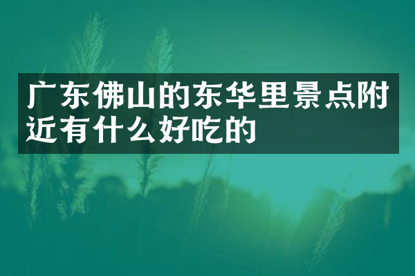 广东佛山的东华里景点附近有什么好吃的