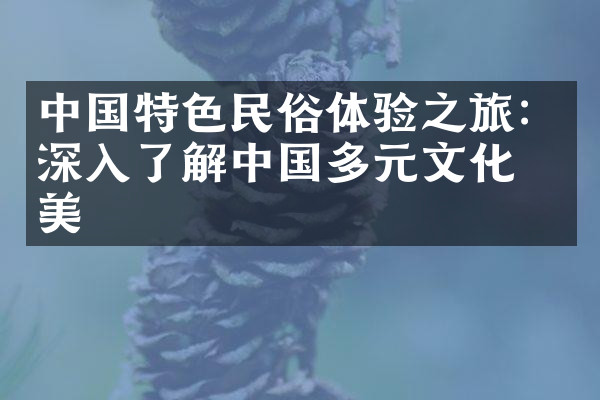 中国特色民俗体验之旅：深入了解中国多元文化之美