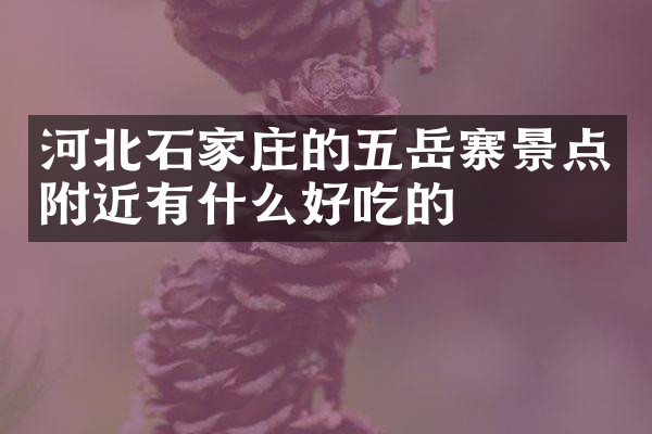 河北石家庄的五岳寨景点附近有什么好吃的