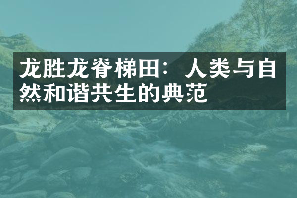 龙胜龙脊梯田：人类与自然和谐共生的典范