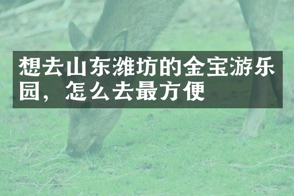 想去山东潍坊的金宝游乐园，怎么去最方便