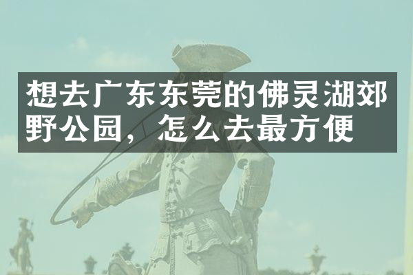 想去广东东莞的佛灵湖郊野公园，怎么去最方便