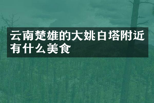 云南楚雄的大姚白塔附近有什么美食