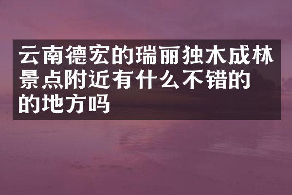 云南德宏的瑞丽独木成林景点附近有什么不错的住的地方吗