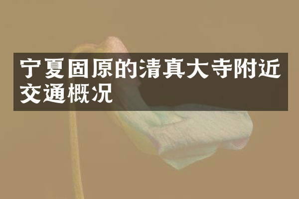 宁夏固原的清真大寺附近交通概况