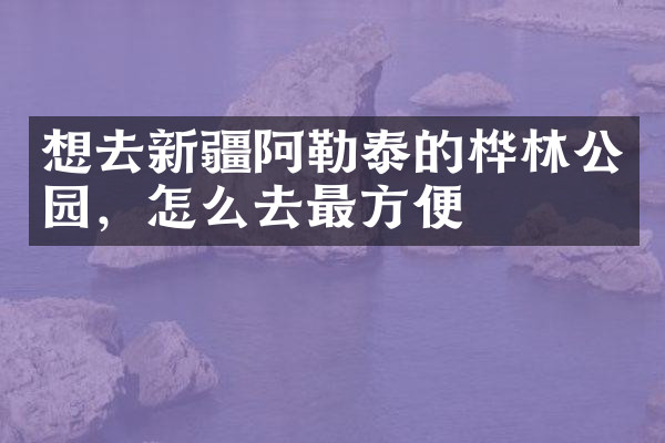 想去新疆阿勒泰的桦林公园，怎么去最方便
