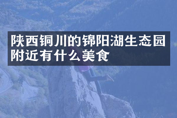 陕西铜川的锦阳湖生态园附近有什么美食
