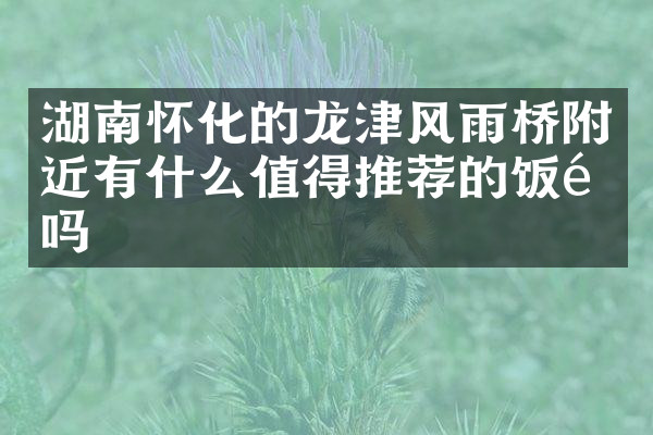 湖南怀化的龙津风雨桥附近有什么值得推荐的饭馆吗