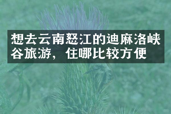 想去云南怒江的迪麻洛峡谷旅游，住哪比较方便