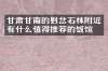 甘肃甘南的则岔石林附近有什么值得推荐的饭馆吗