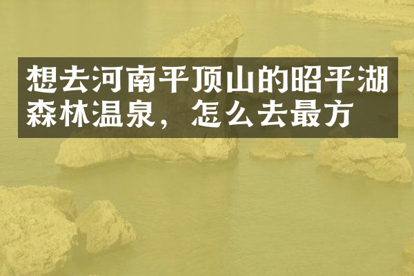 想去河南平顶山的昭平湖森林温泉，怎么去最方便
