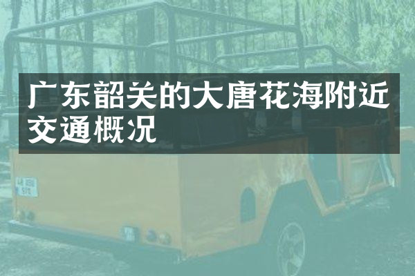 广东韶关的大唐花海附近交通概况