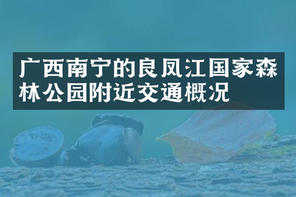 广西南宁的良凤江国家森林公园附近交通概况