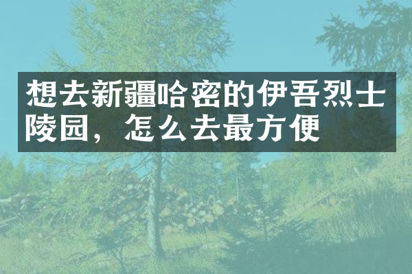 想去新疆哈密的伊吾烈士陵园，怎么去最方便