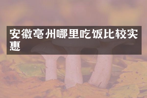 安徽亳州哪里吃饭比较实惠