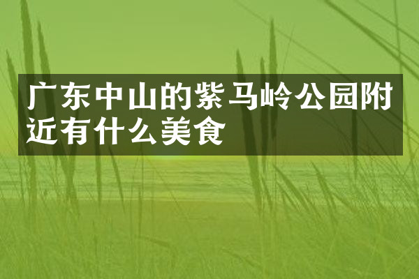 广东中山的紫马岭公园附近有什么美食