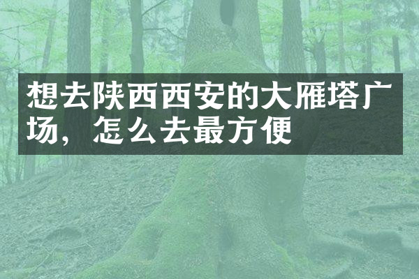 想去陕西西安的大雁塔广场，怎么去最方便