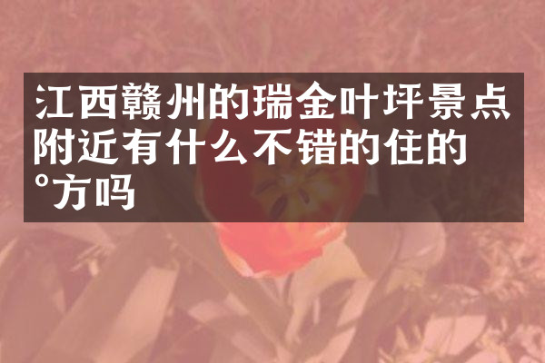 江西赣州的瑞金叶坪景点附近有什么不错的住的地方吗