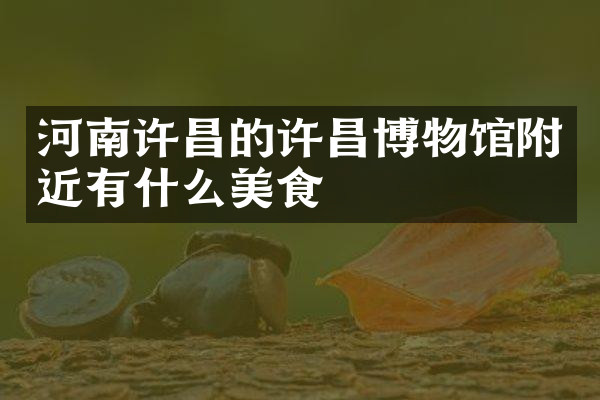 河南许昌的许昌博物馆附近有什么美食