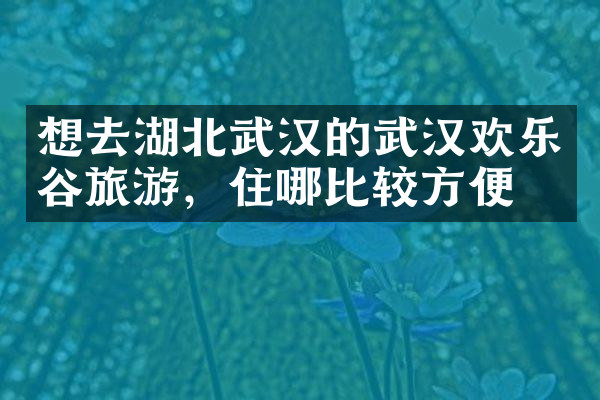 想去湖北武汉的武汉欢乐谷旅游，住哪比较方便