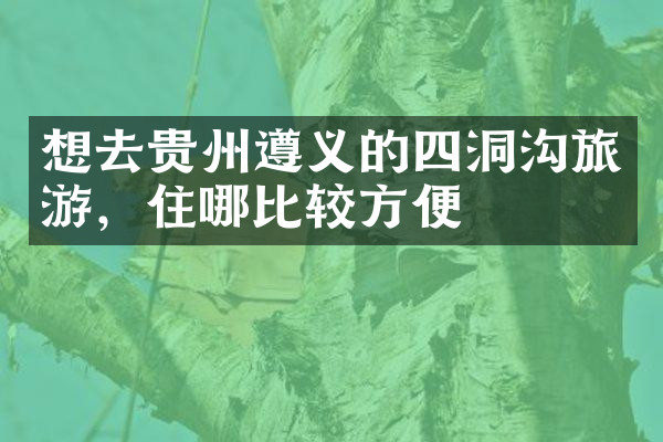 想去贵州遵义的四洞沟旅游，住哪比较方便